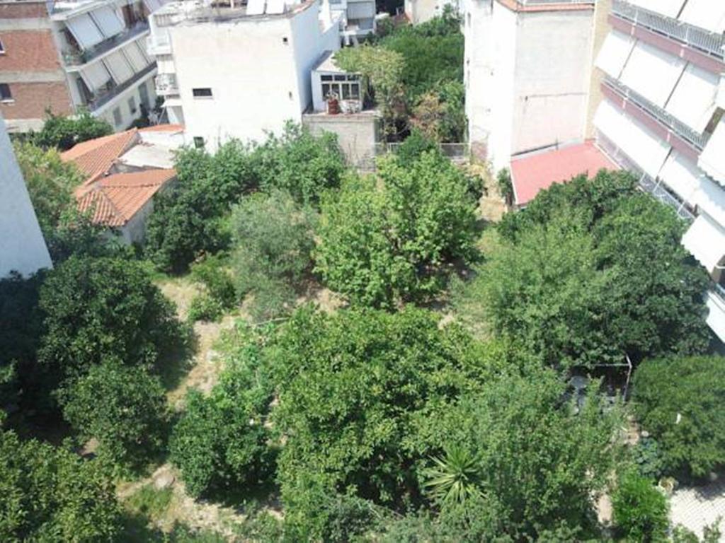 Foivos Hotel Loutra Edipsou  Cameră foto